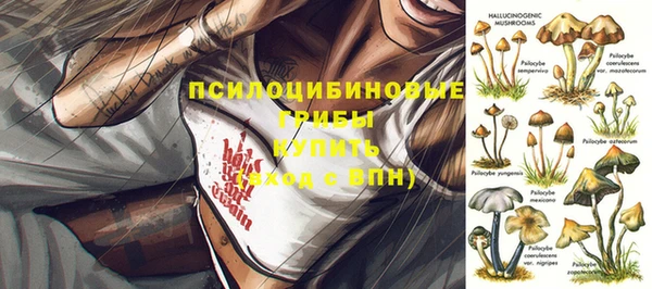 шишки Верхнеуральск