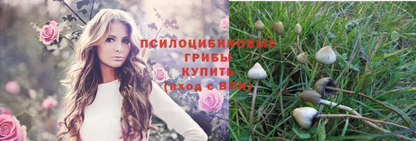 прущие крисы Верхний Тагил