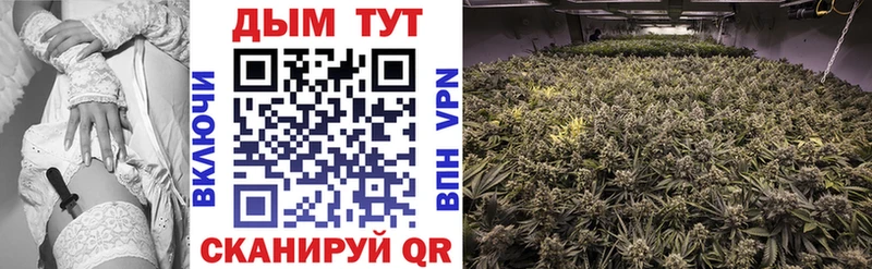 Каннабис OG Kush  Кизилюрт 